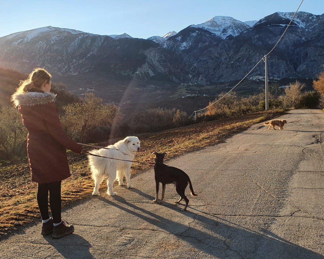 A woman walking two dogs on a mountain road during sunset, with snow-capped mountains in the background and two other dogs lying in the distance.