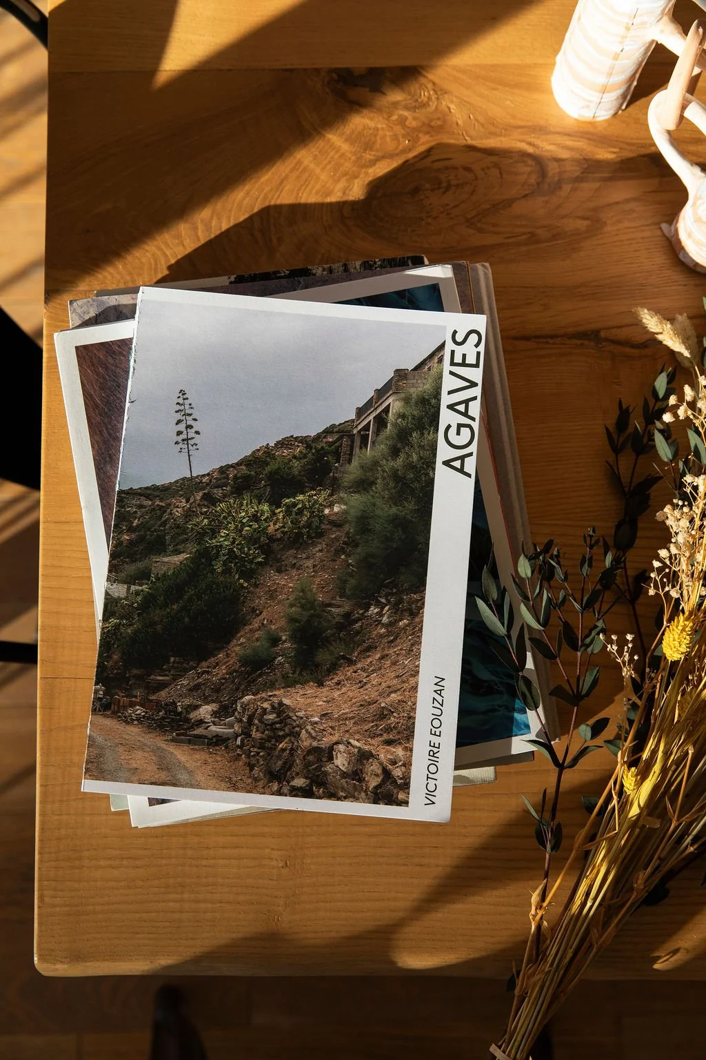 Les agaves, projet photographique de Victoire Eouzan