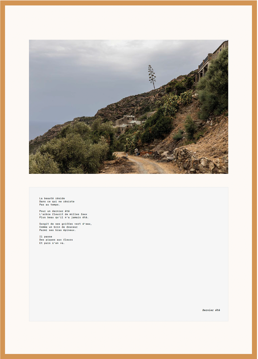 Les agaves, projet photographique de Victoire Eouzan