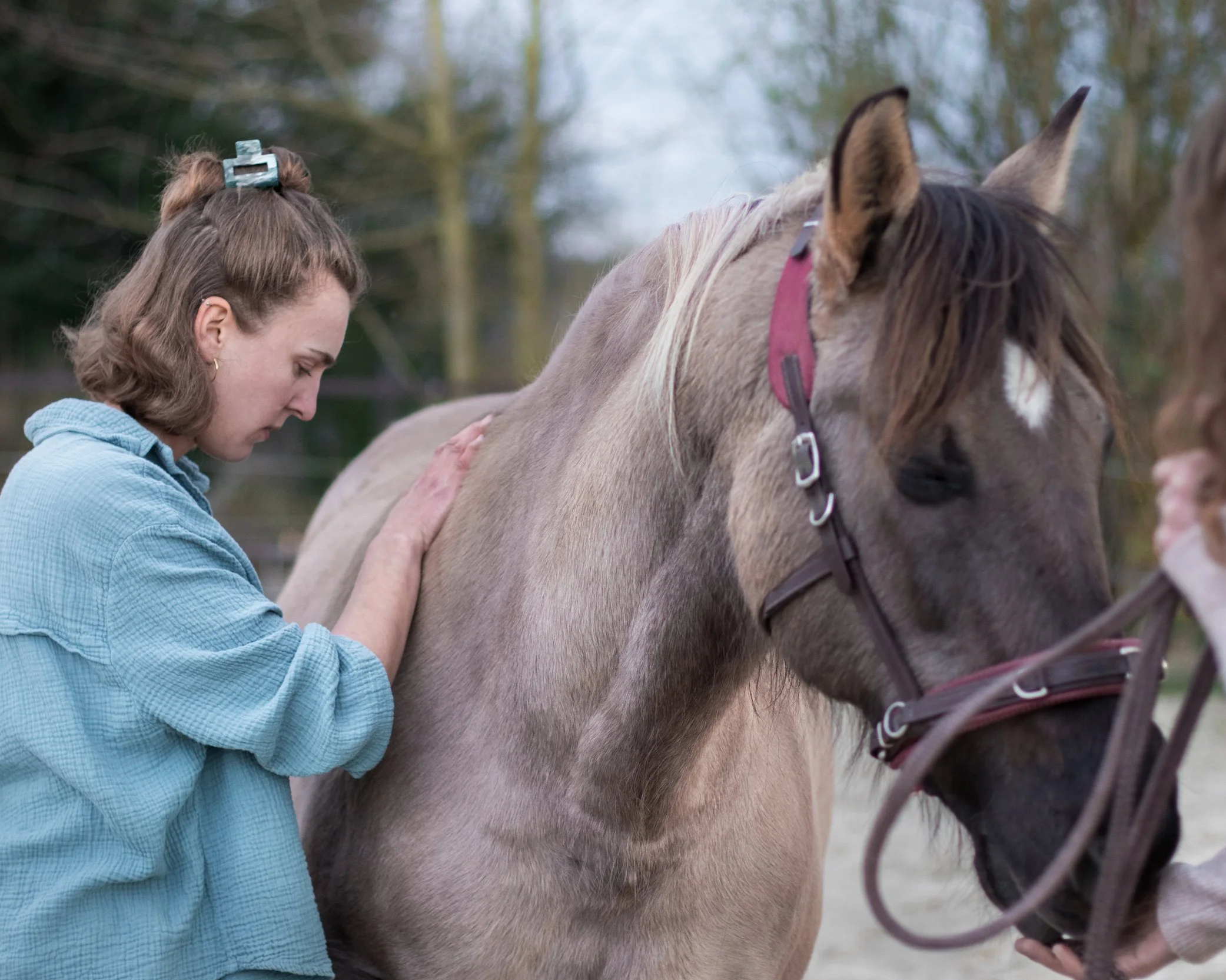 Eine junge Frau streichelt ein graues Pferd, während eine andere Person das Pferd hält. Es ist draußen in einer natürlichen Umgebung.