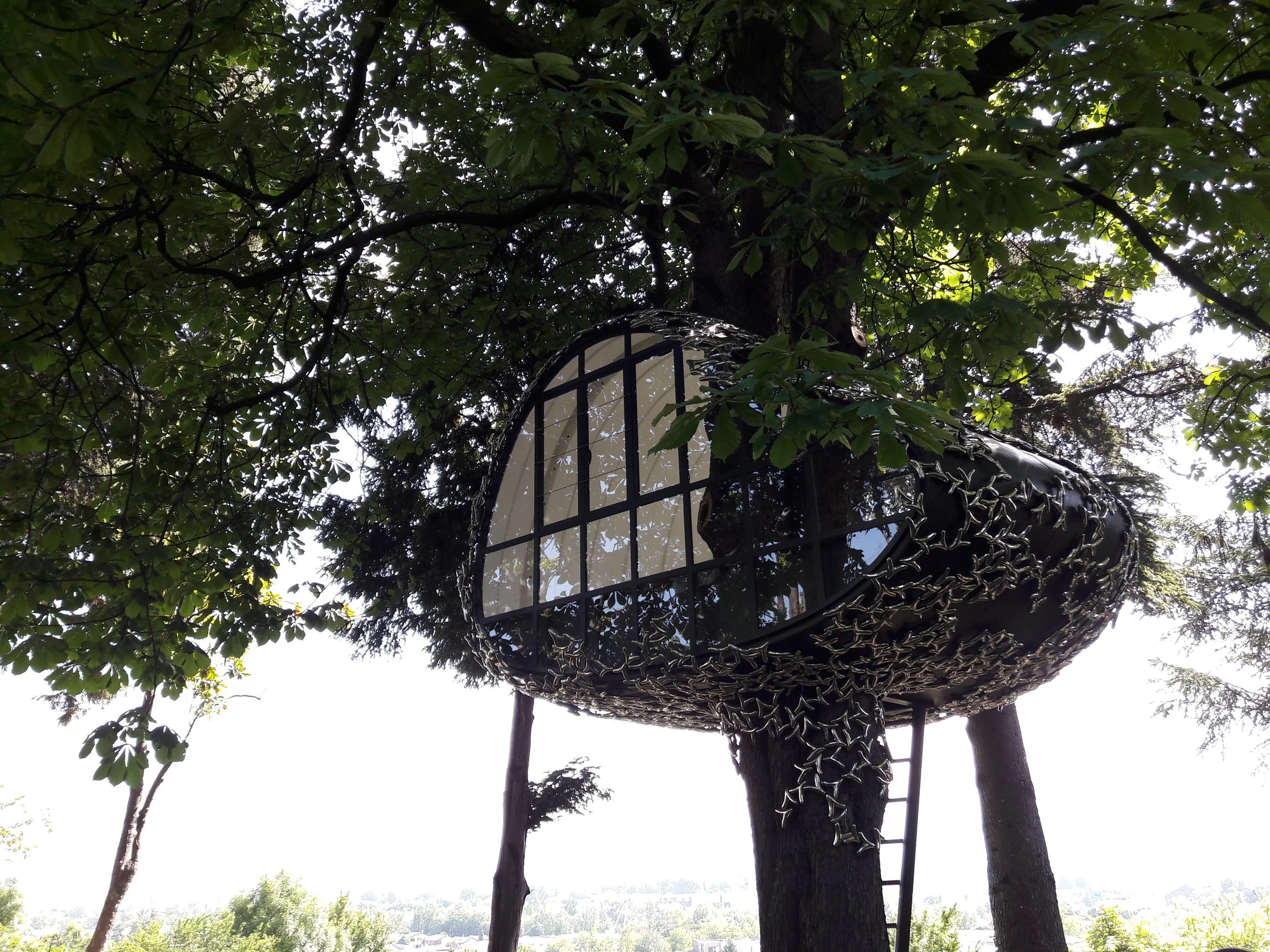 the garden's jewel.jpg