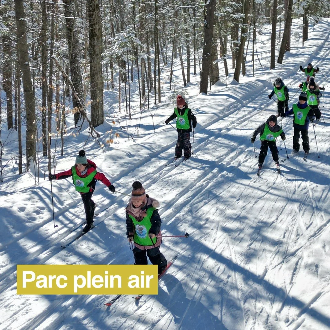 Une bande d'enfants qui font du ski de fond au Parc régional des Grèves à Sorel-Tracy 