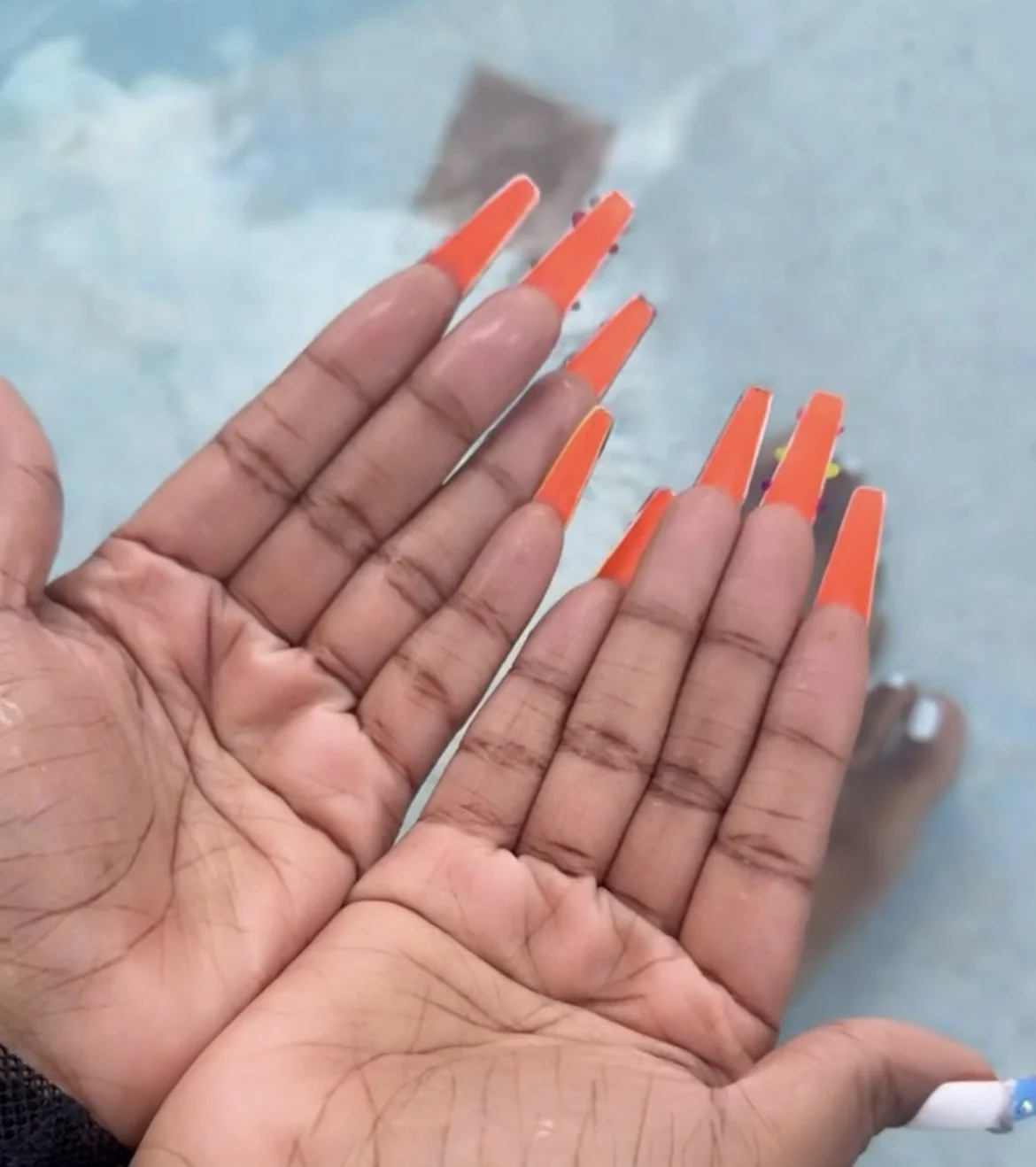 44546.jpg