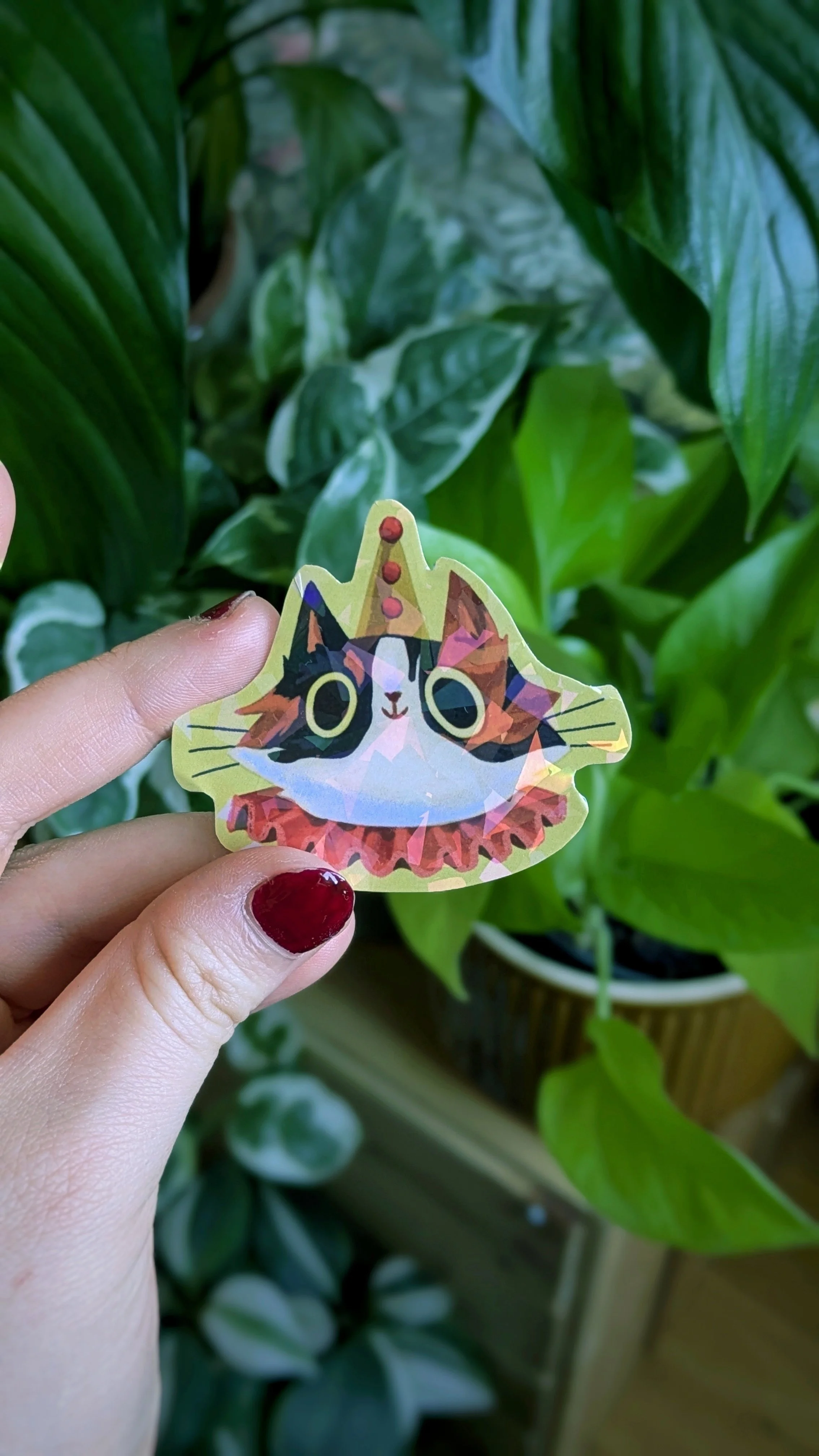 PXL_20260320_091858659.PORTRAIT (1).jpg