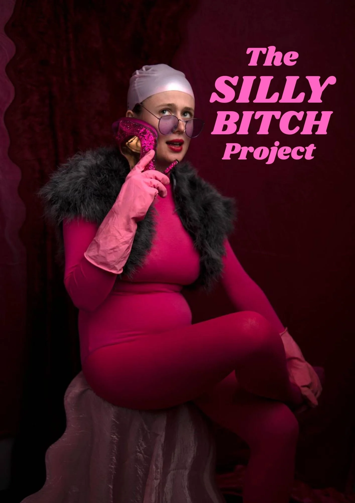 The SILLY BITCH Project 