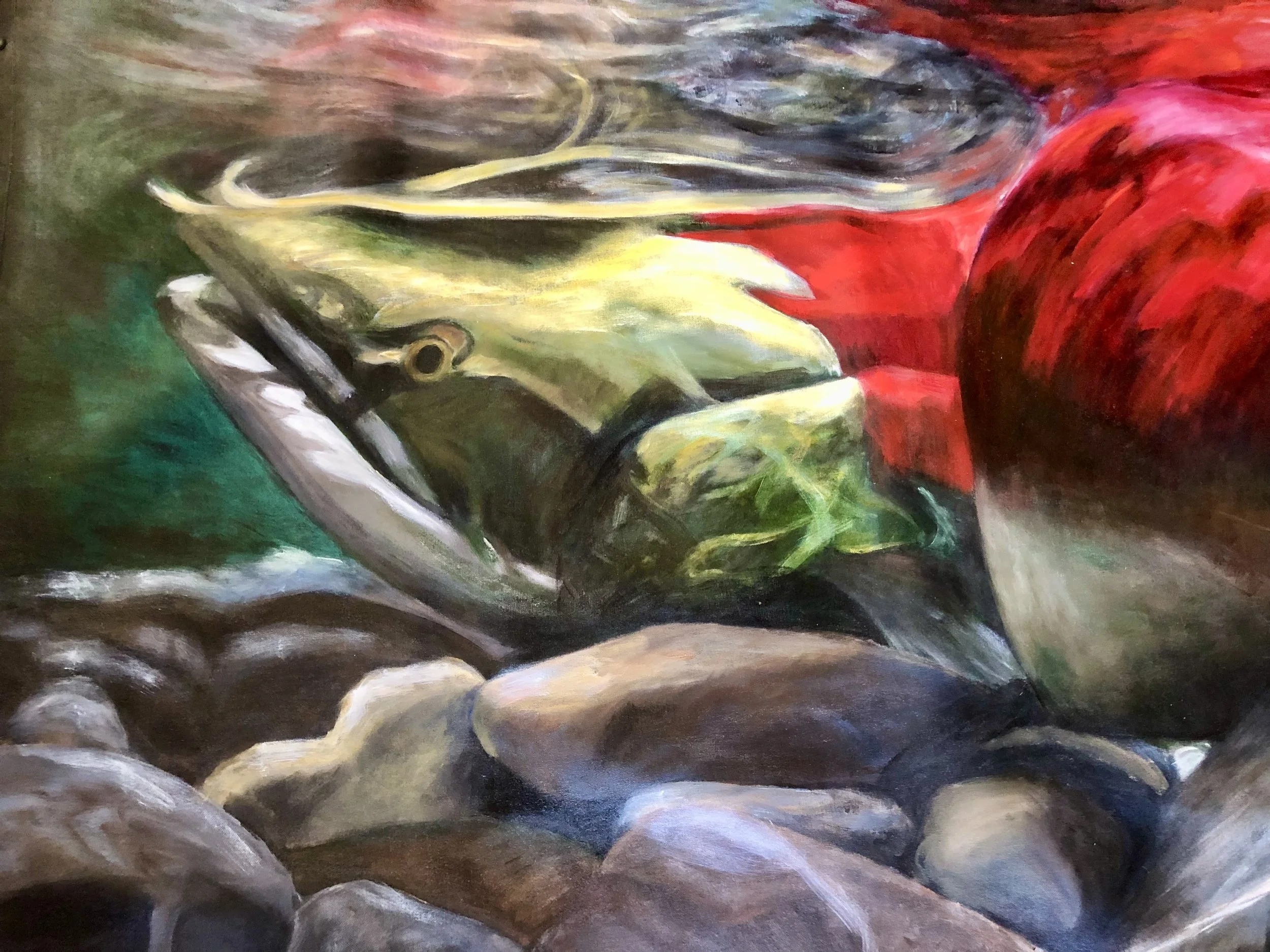 Salmon Fighting It Out detail.jpeg