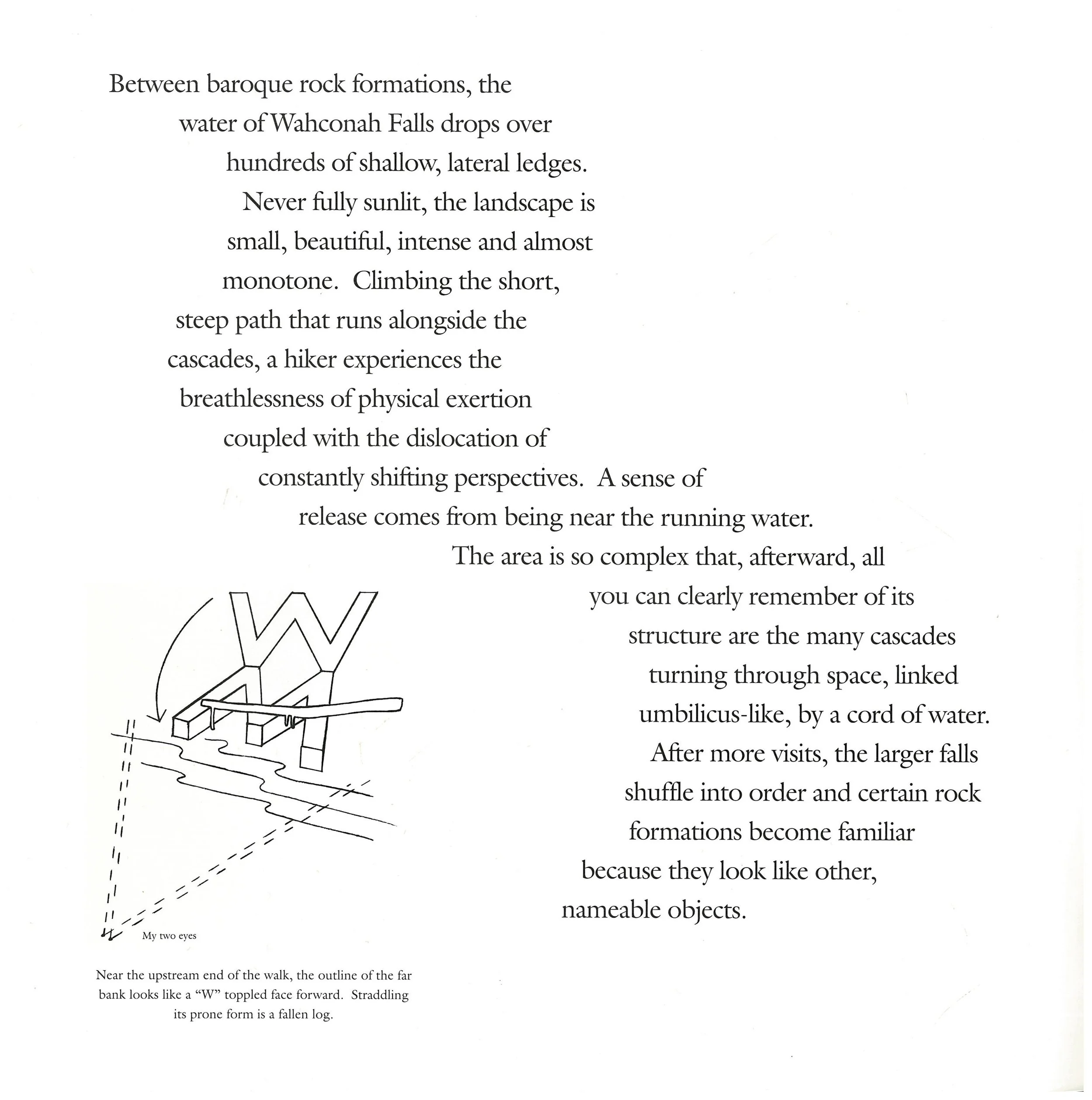 _Wahconah cat inside cover.jpg