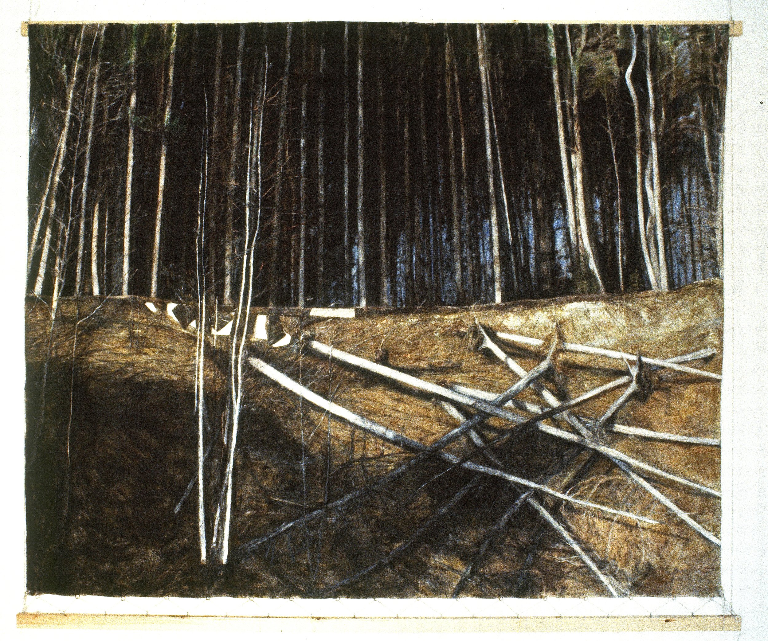 Forests Forest Fall with lower strip 2.jpg