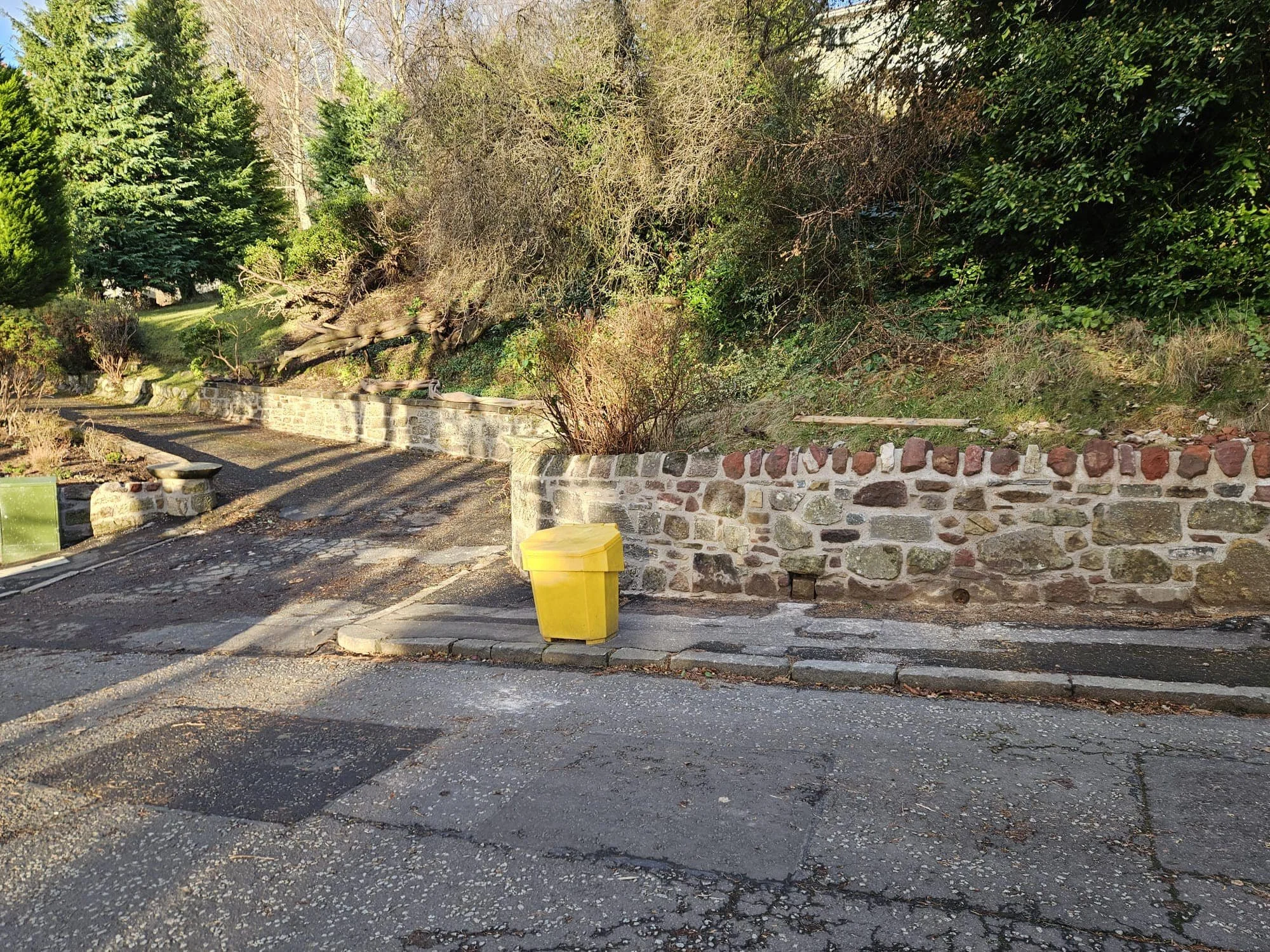 481291366_618049134315812_195699465249108157_n (1).jpg