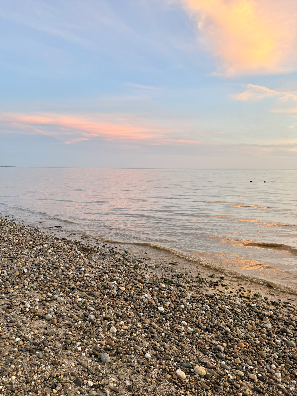 Cape Cod