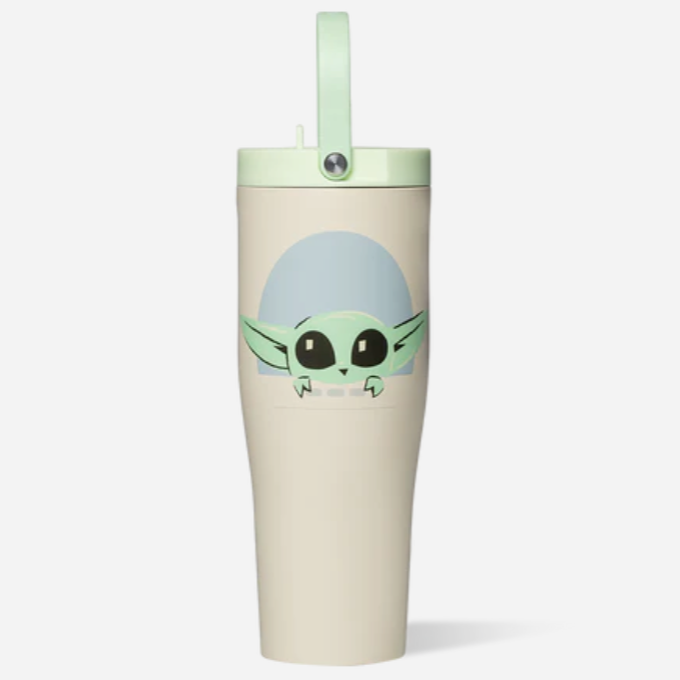 Water Bottle (CORKCICLE)