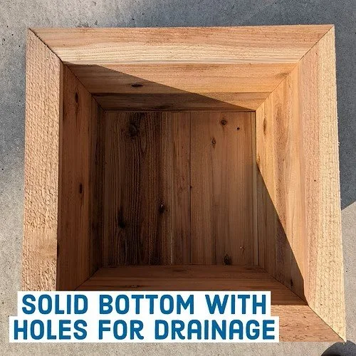 Holes for Drainage.jpg