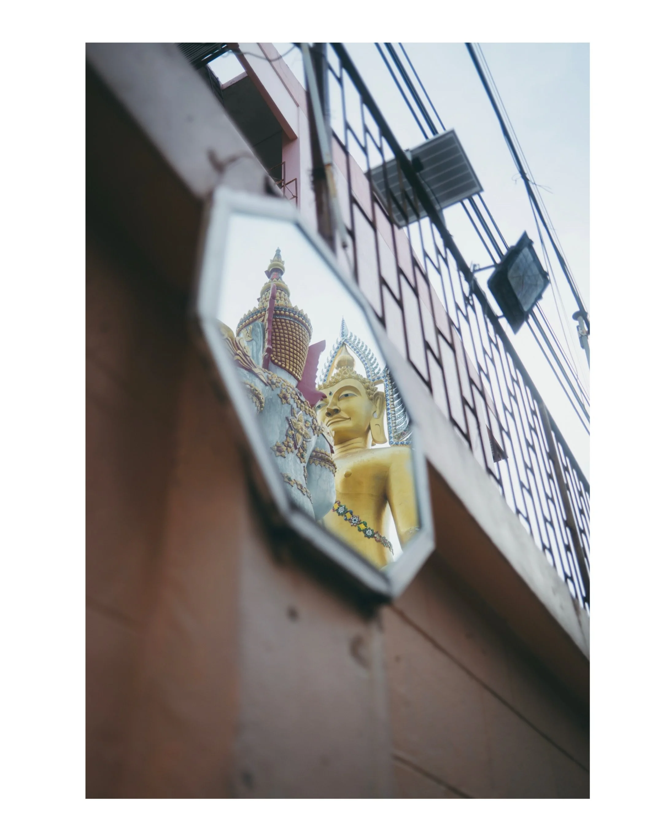 Cats &amp; Buddha
Fujifilm X100VI

#thailand #fujifilm #cats #buddah #travel 

@nadinemaliaa @fujifilmx.de