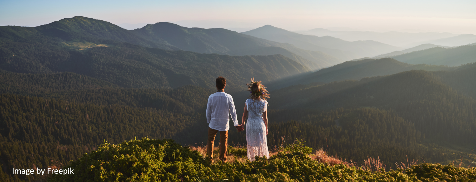 Wedding law reform proposals explained