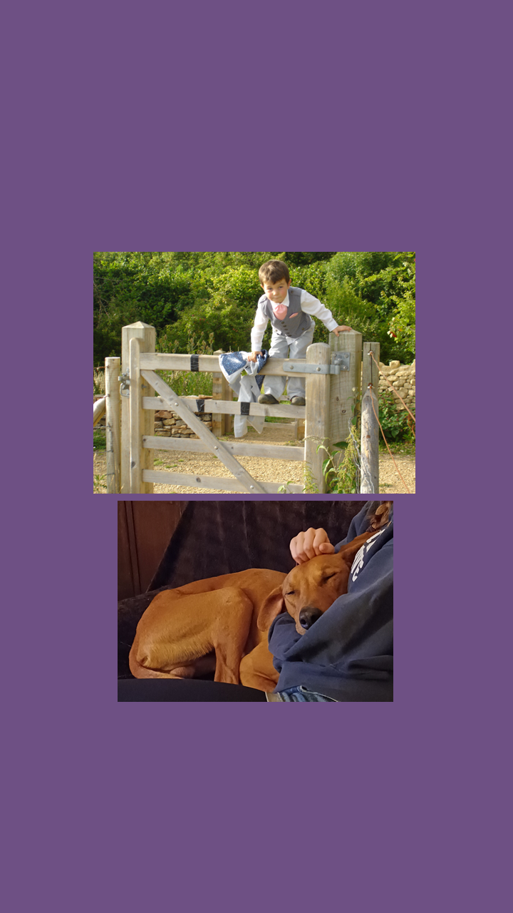 Child in a suit clambering over a gate; and dog having a cuddle.