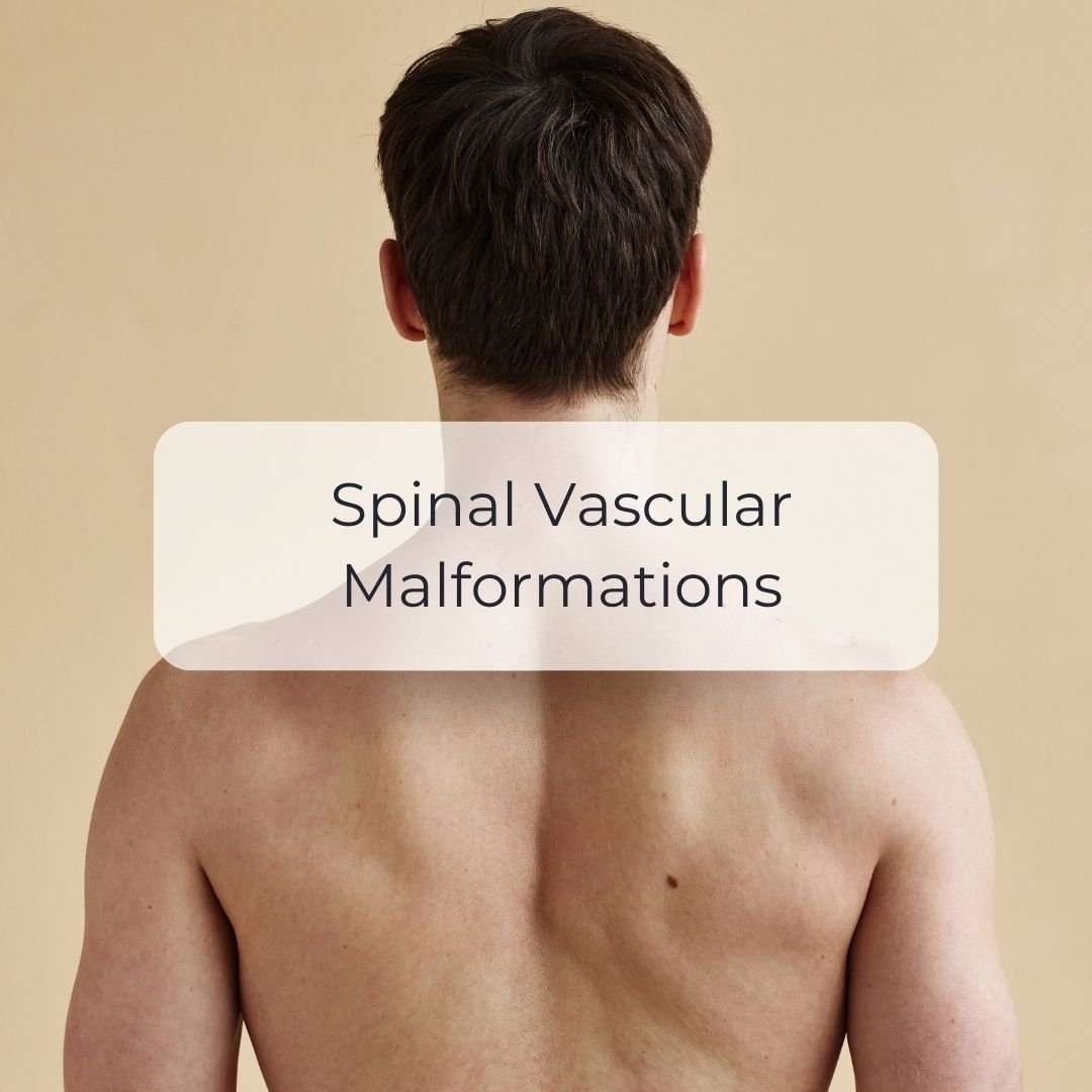 Spinal Vascular Disorders.jpg