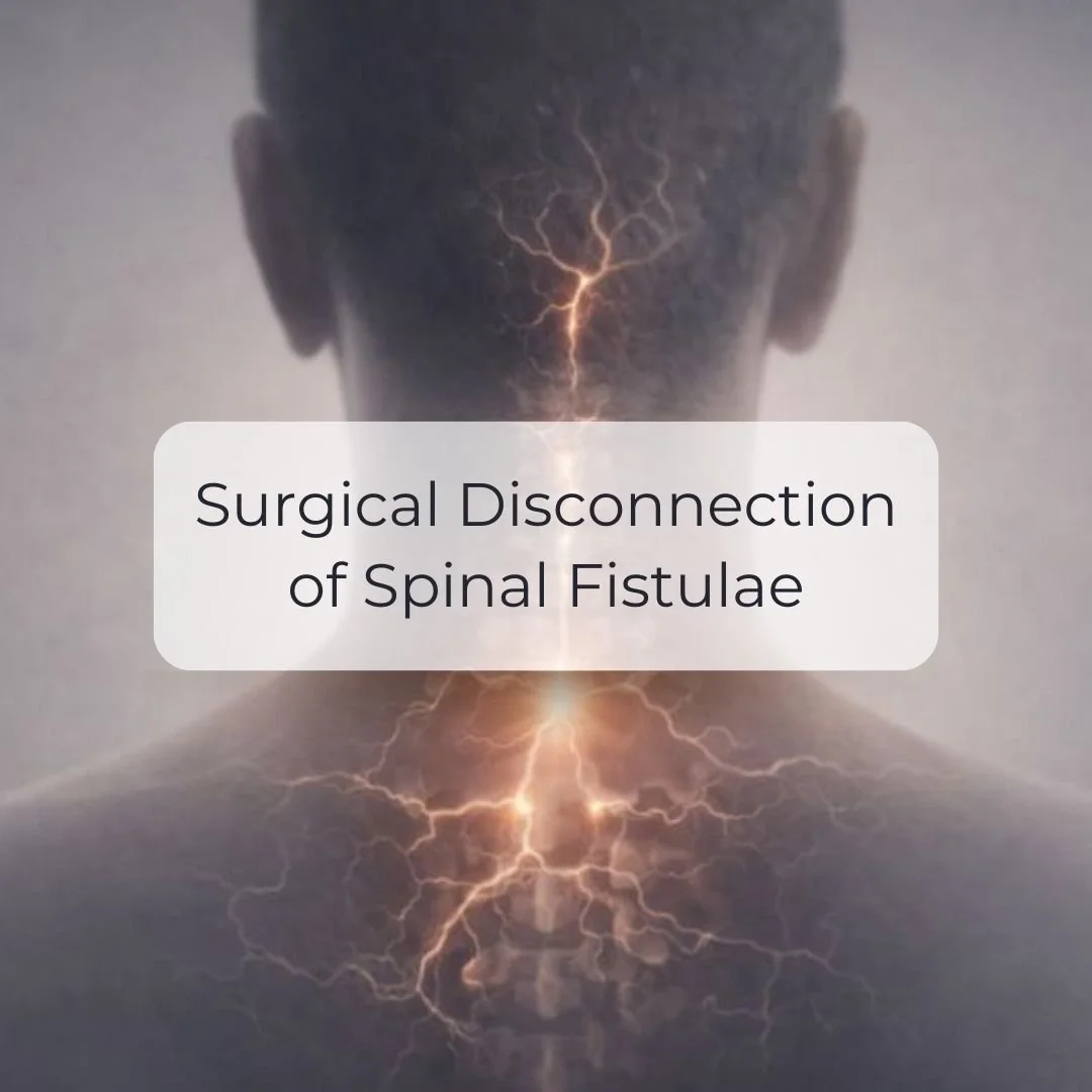 Surgical disconnection of spinal fistulae.jpg