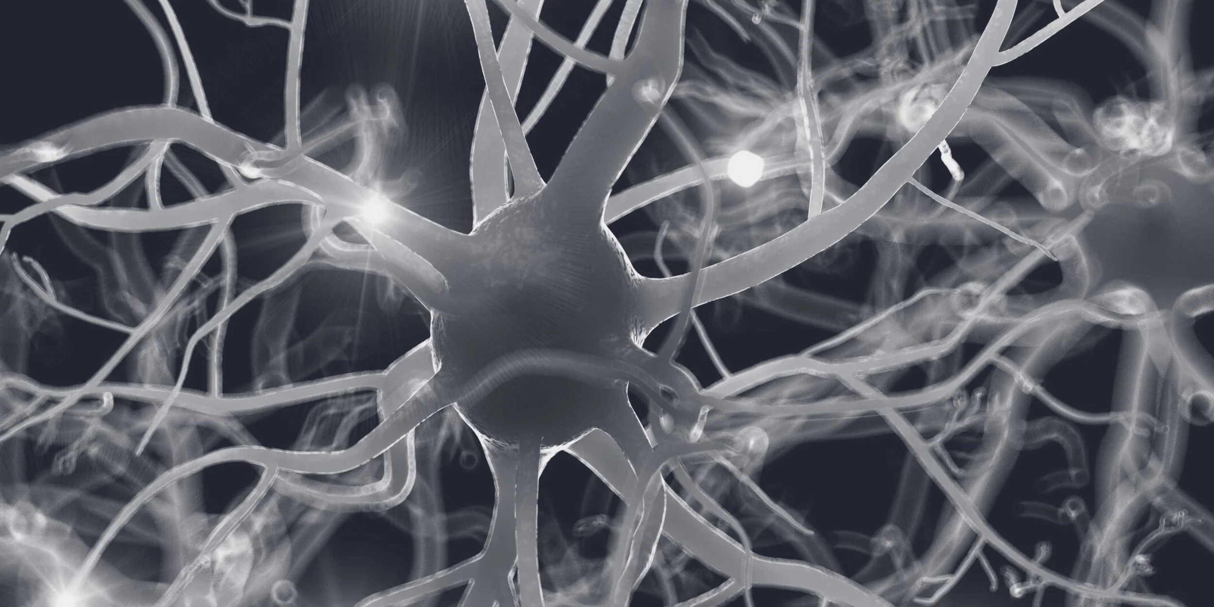 Close-up view of a network of neurons with glowing synapses in a dark background.