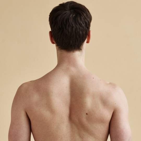 Spinal Vascular Disorders Icon