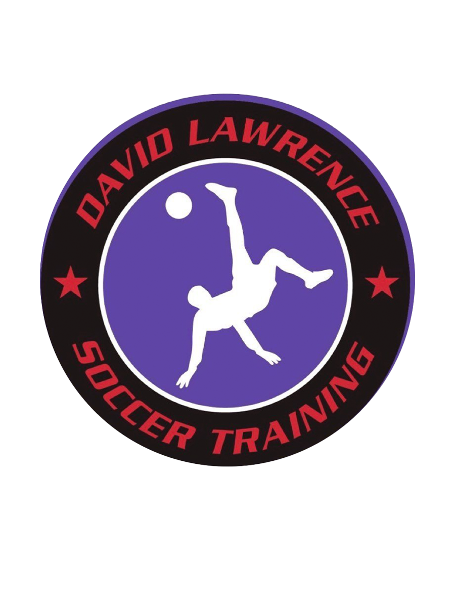 DLSOCCER TRAINING