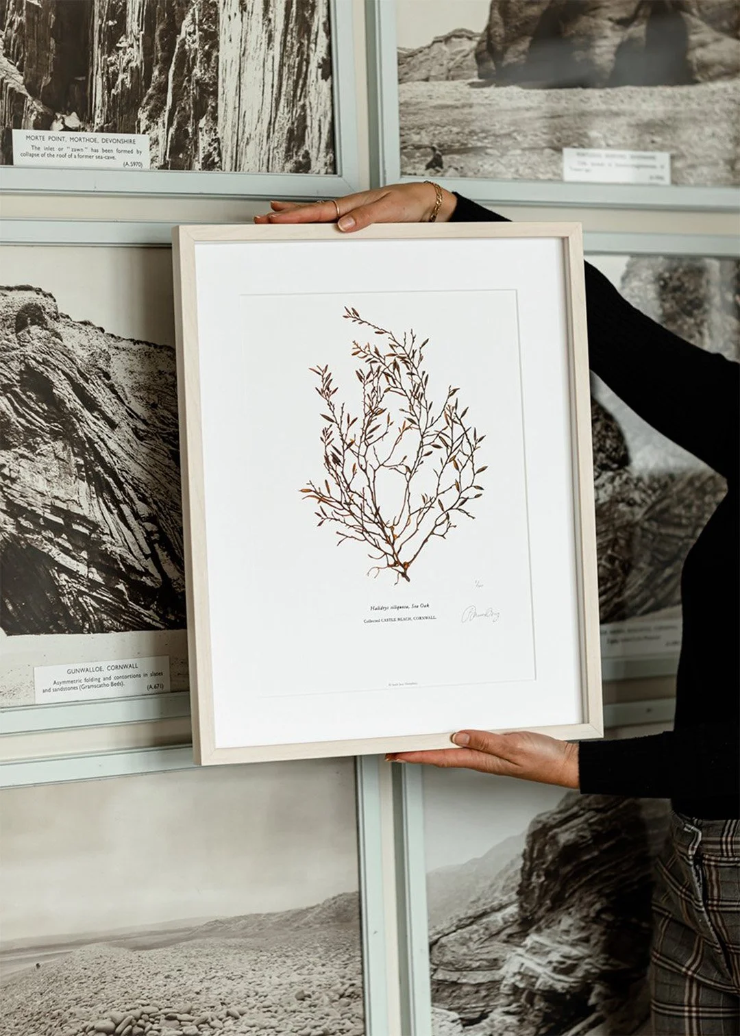 sarah-jane-humphrey-british-seaweed-prints-coastal-collection-4d.jpg