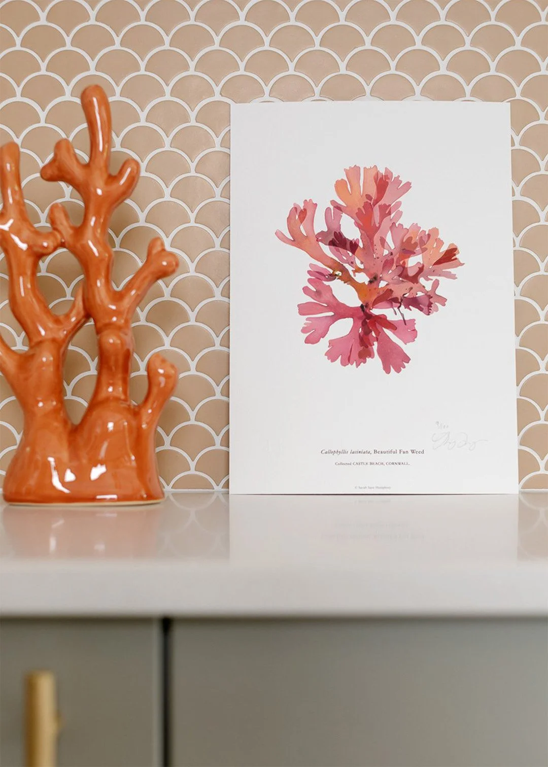 sarah-jane-humphrey-british-seaweed-prints-coastal-collection-7c.jpg