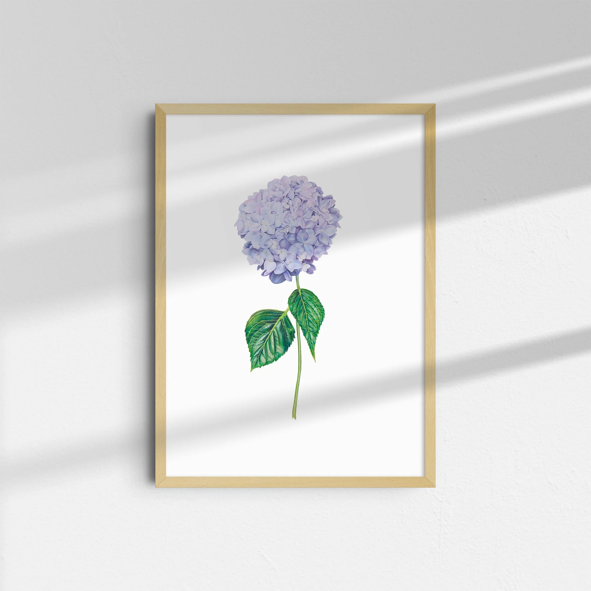 sarah-jane-humphrey-garden-collection-15b.jpg
