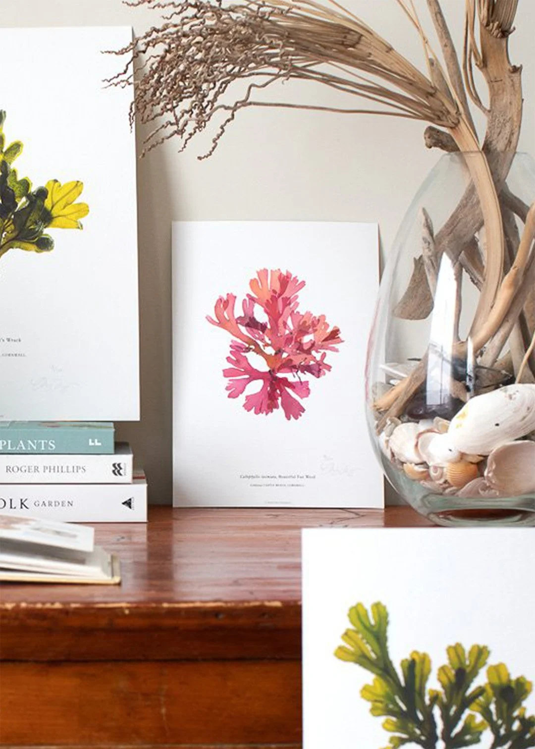 sarah-jane-humphrey-british-seaweed-prints-coastal-collection-7d.jpg