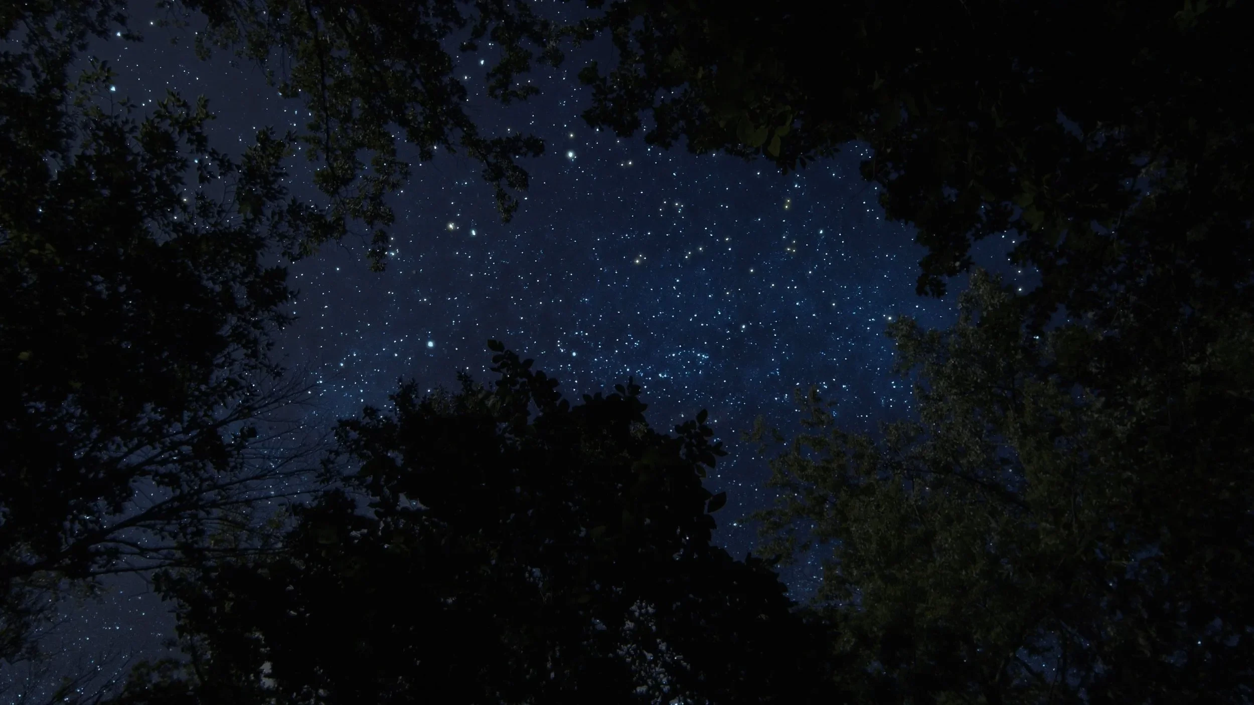 stars.webp