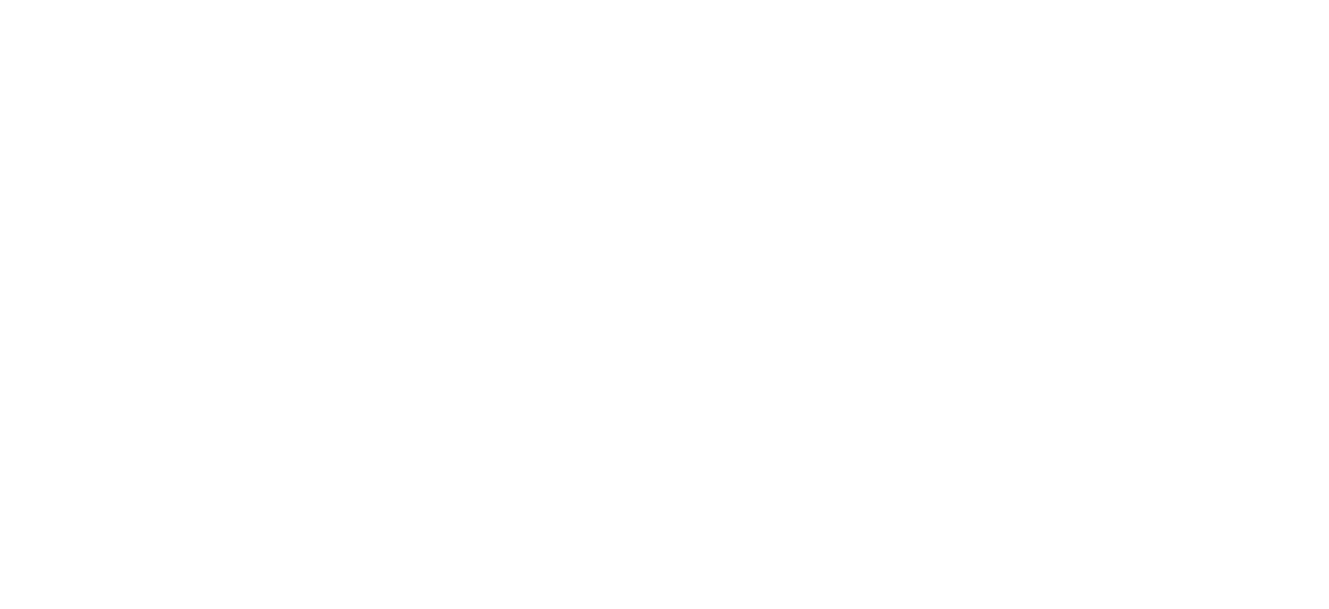 BluEq Consulting 