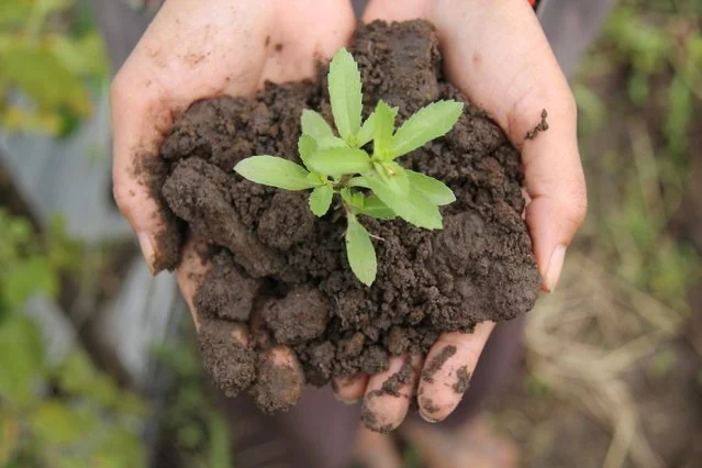 4 Facts You Should Know About Farm Insurance