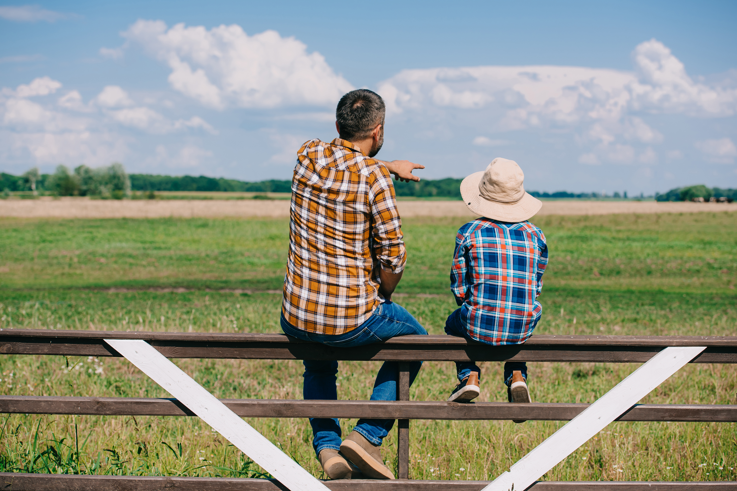back view of father and son sitting on fence and looking at green field