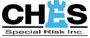 Ches Special Rick logo with a Blue chess rook piece