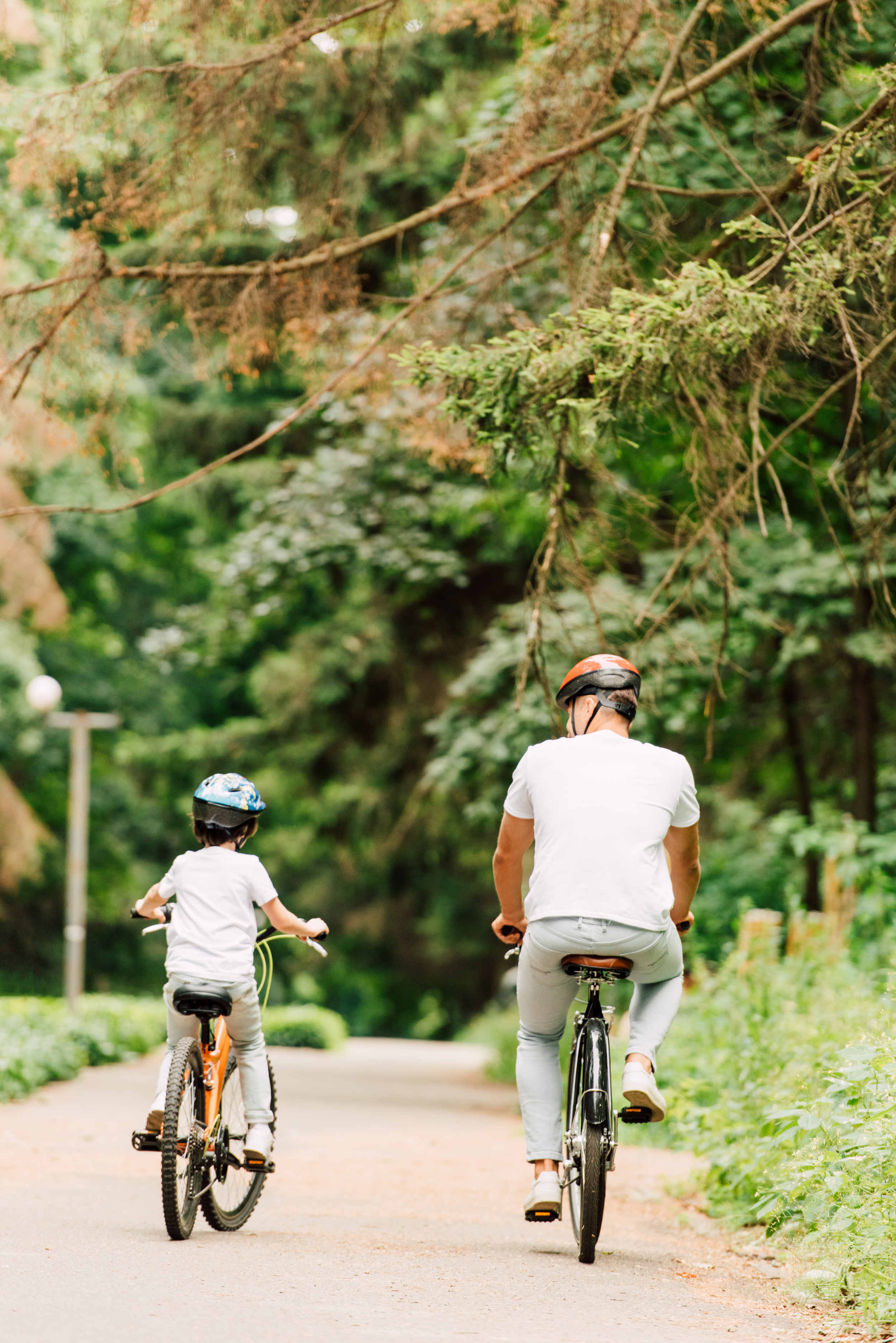 back view of father and son riding bicycles on road around trees and a trail near london, ontario