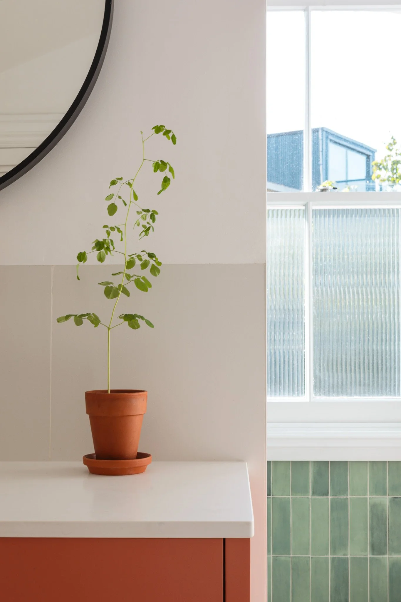 Sara Leonor_Dynevor Road_010.jpg