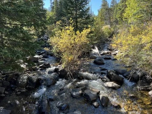 A flowing mountain stream surrounded by rocks and trees with green and yellow leaves in a forest during spring.