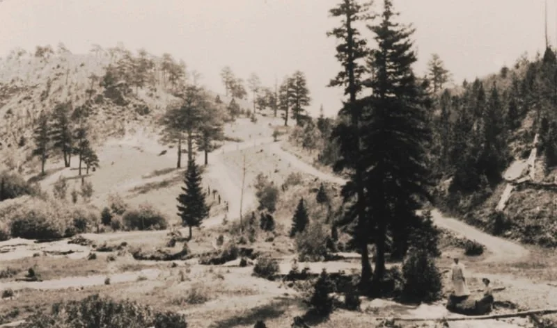 Black and white photo of a hilly landscape with trees, a dirt road, and rocky terrain.