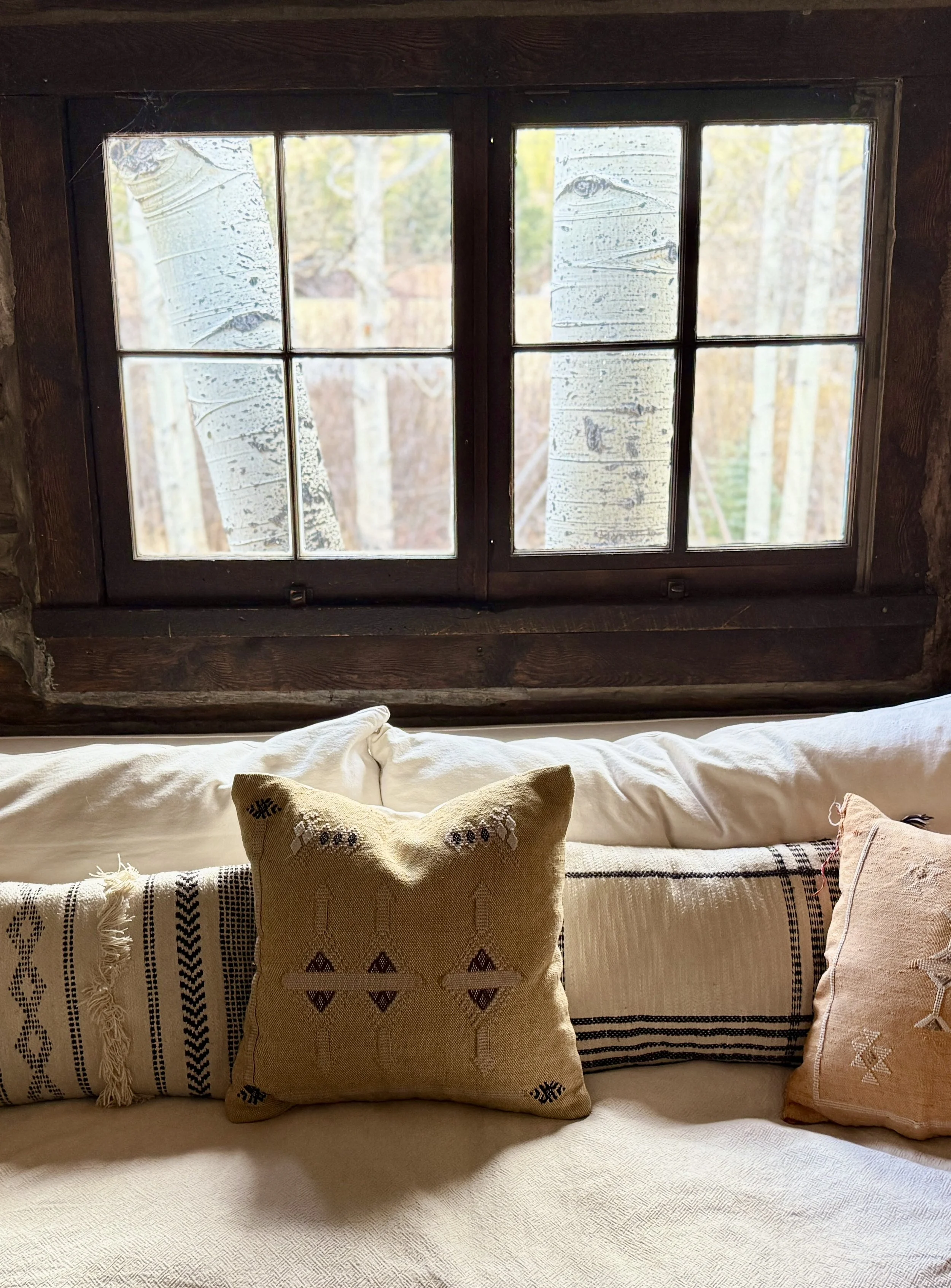 A cozy interior scene with a window showing a view of trees outside, and a bed or sofa with decorative pillows and a beige throw blanket.