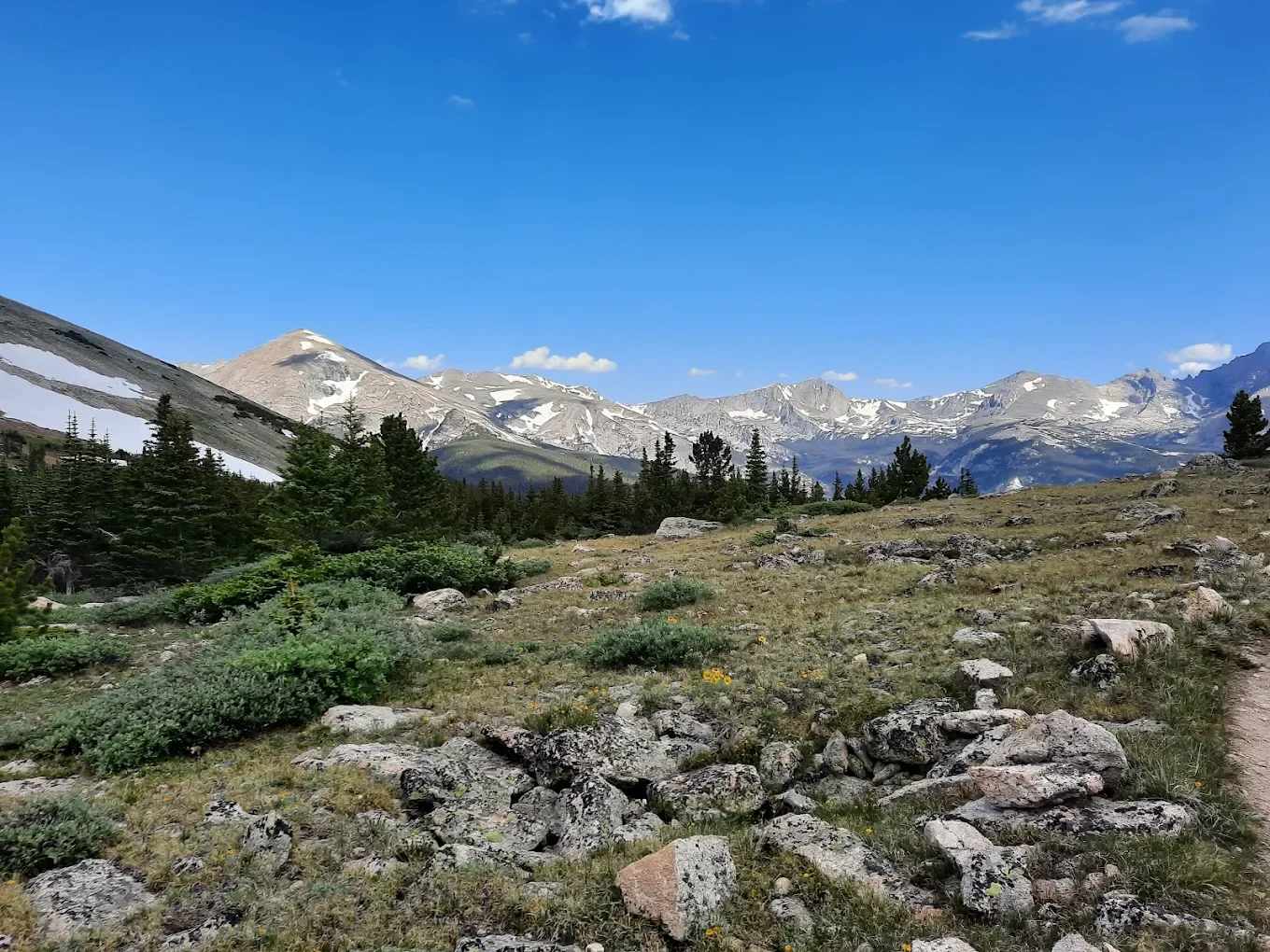 A mountainous landscape with snow-capped peaks, green pine trees, and rocky terrain under a blue sky with a few clouds.