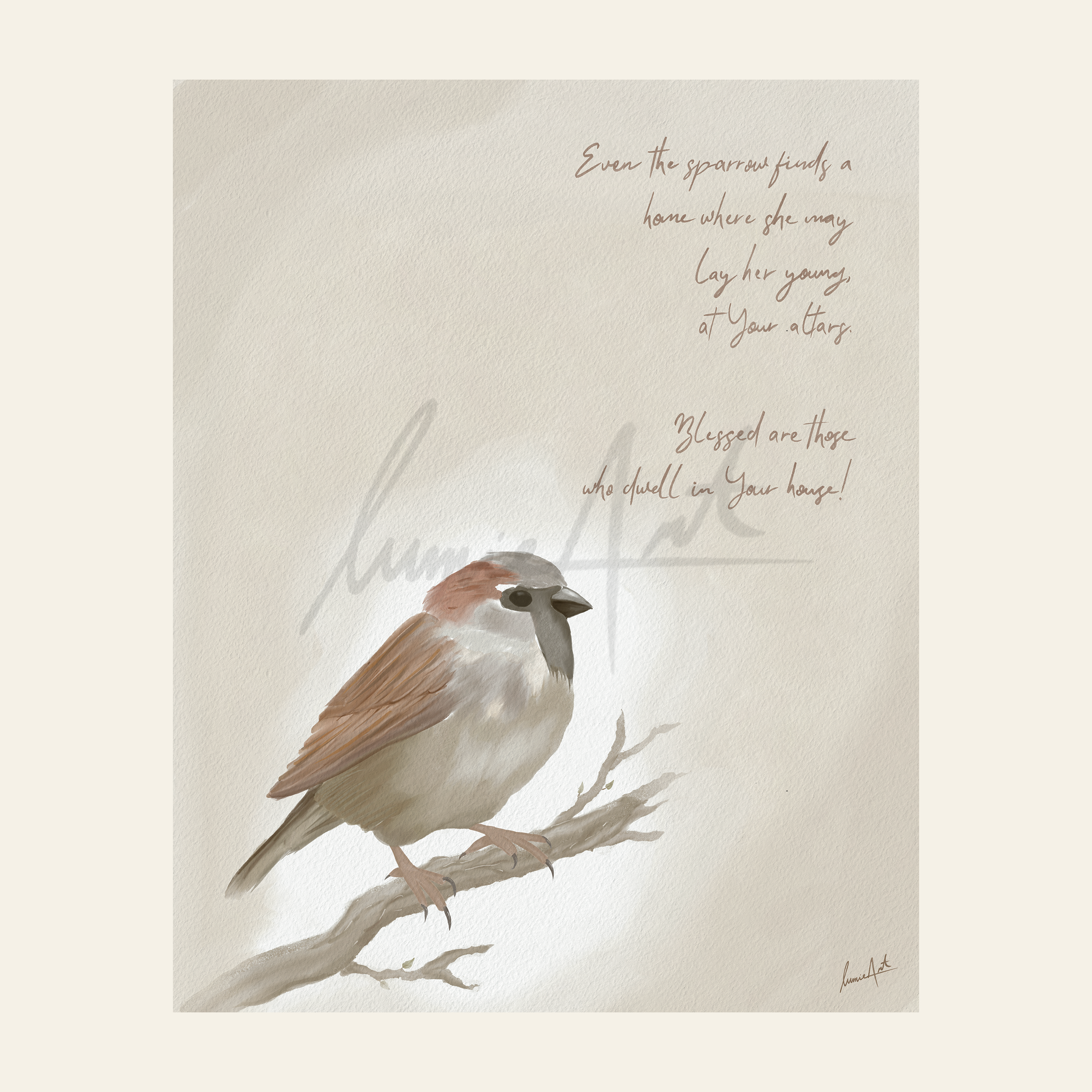 ETS Store Thumbnail.png