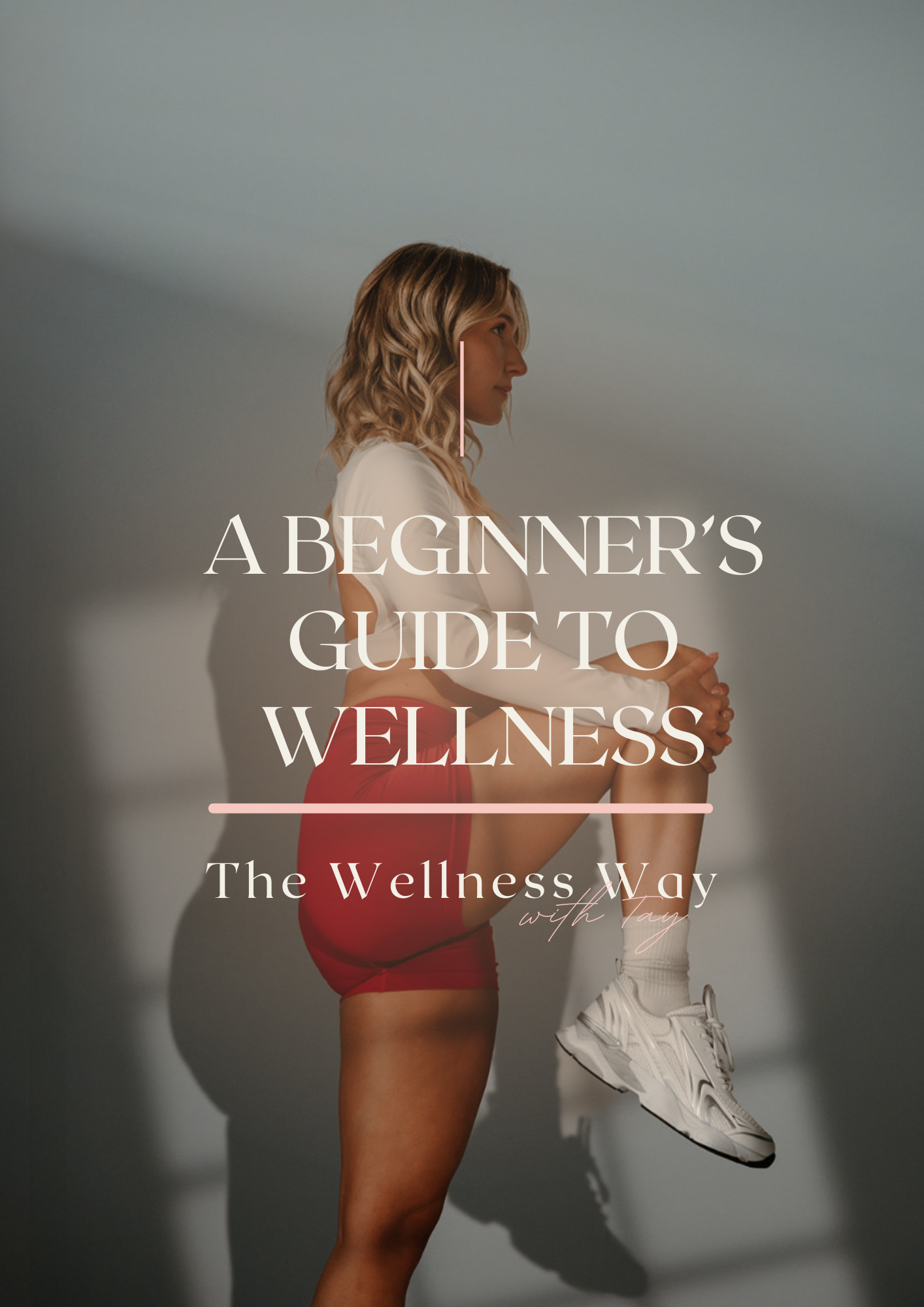 The Wellness Way Beginner's Guide to Wellness.png