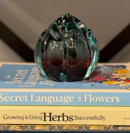 Screenshot 2026-04-06 155657.jpg