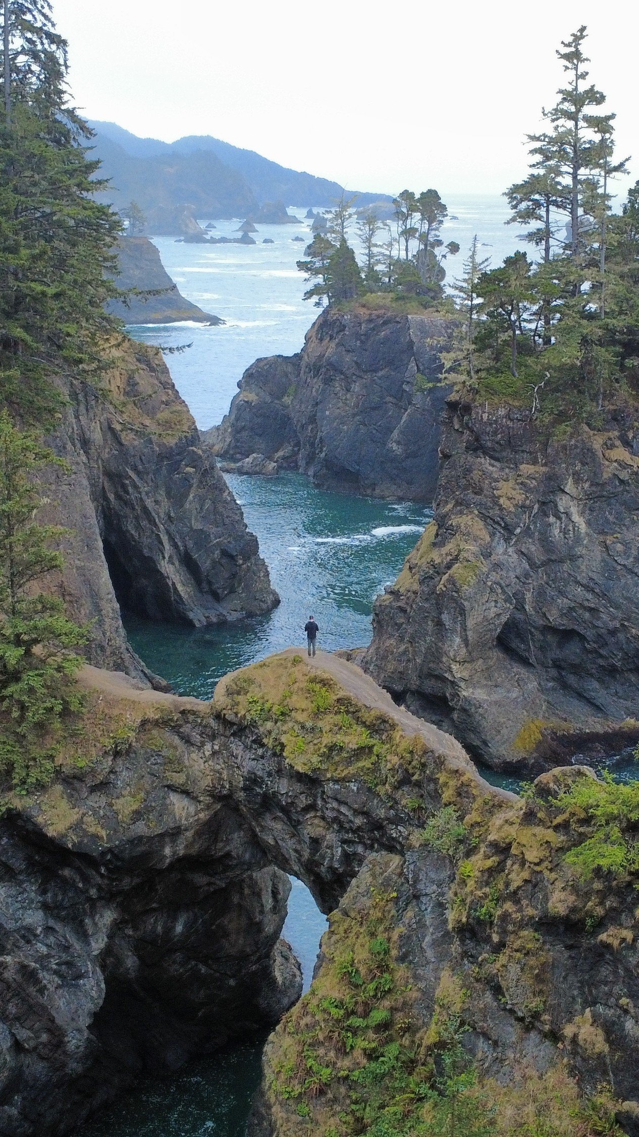 THE WILD WEST COAST ROAD TRIP: Dunes, Redwoods & Hidden Coves