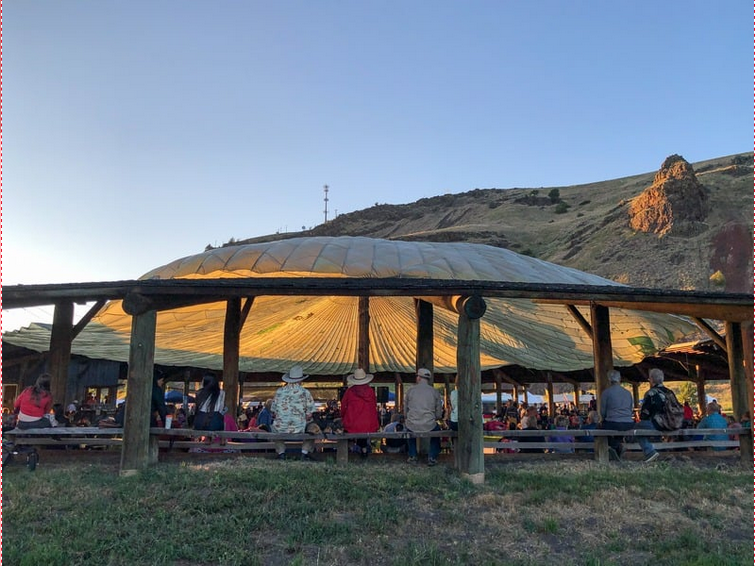 NPWH Newsletter, 2024