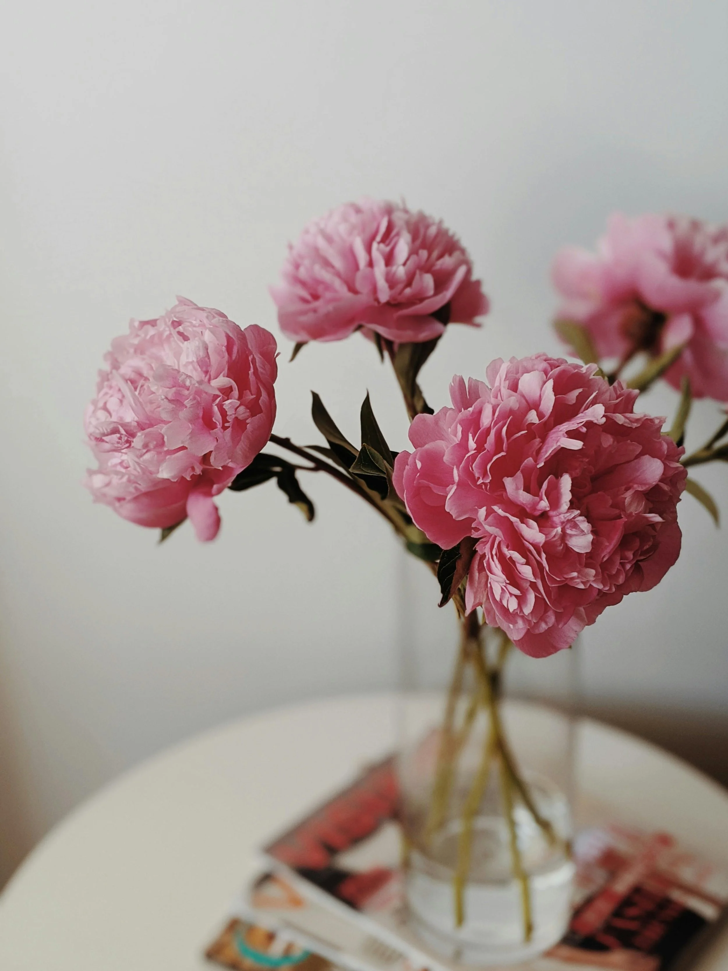 Pink peonies in a glass vase on a white table with magazines underneath, against a plain background.