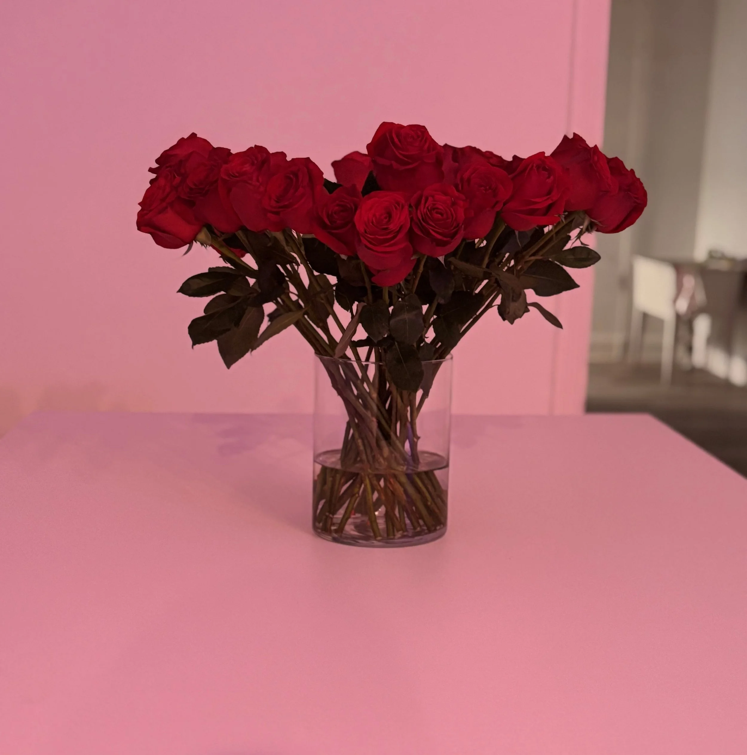 24 count Red Rose/Vase