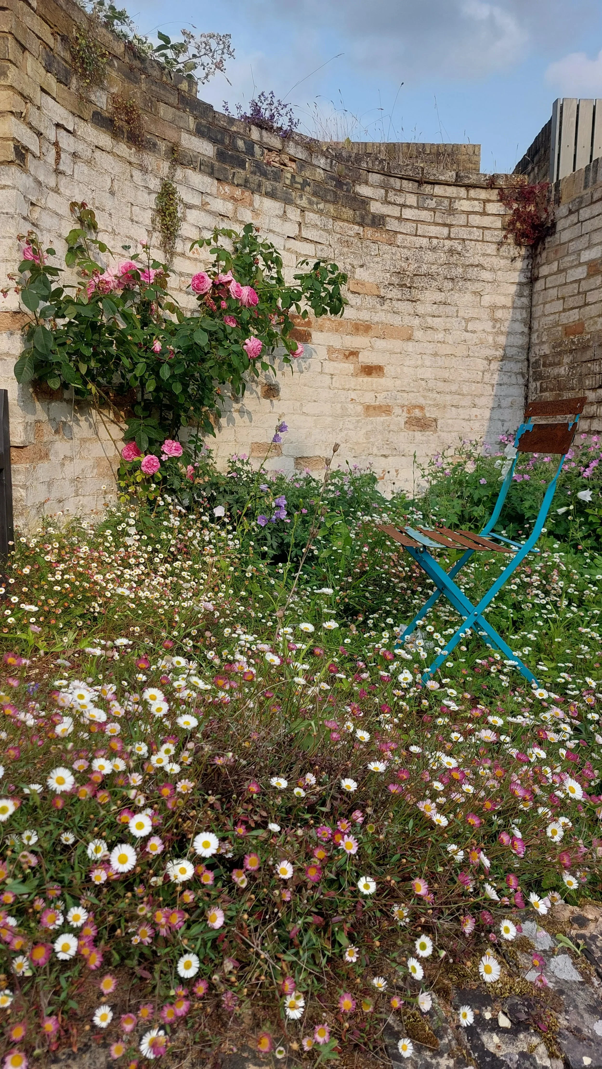 chris and sues garden.jpg