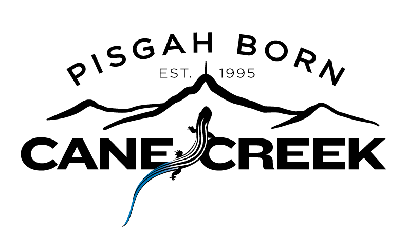Pisgah-Born-Black-Blue-Skink.png