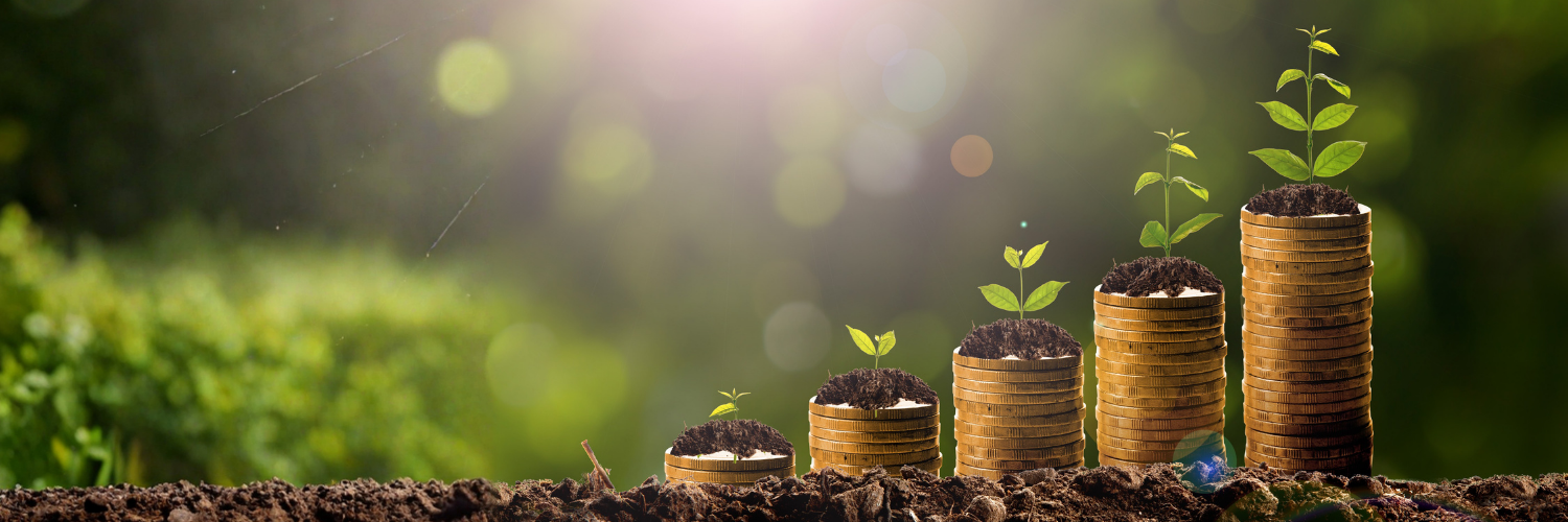 Stacks of coins growing with leaves and soil