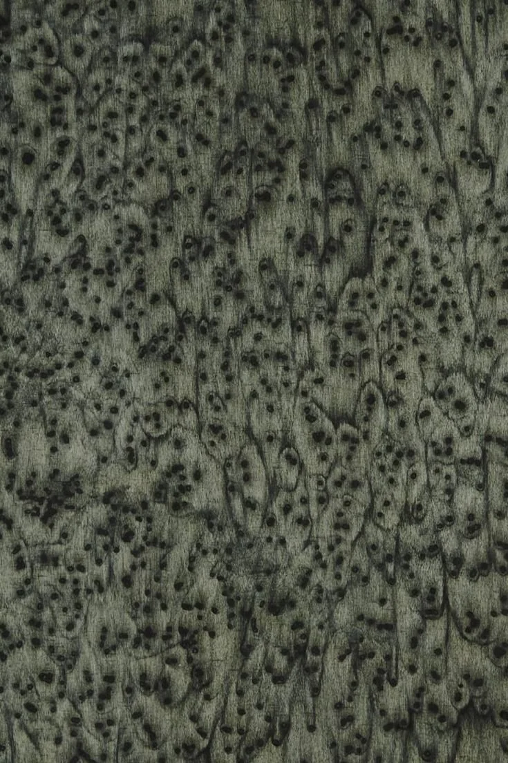 OSIS SURFACE • llotllov.jpg